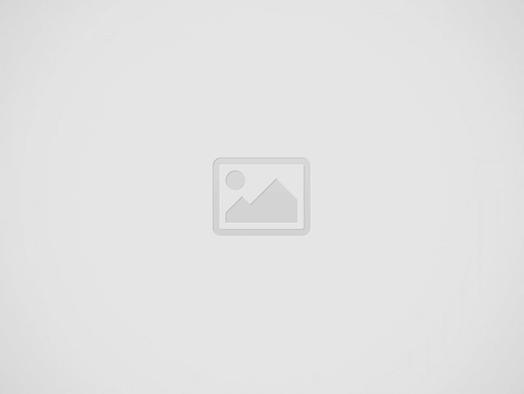 Women's Clothing