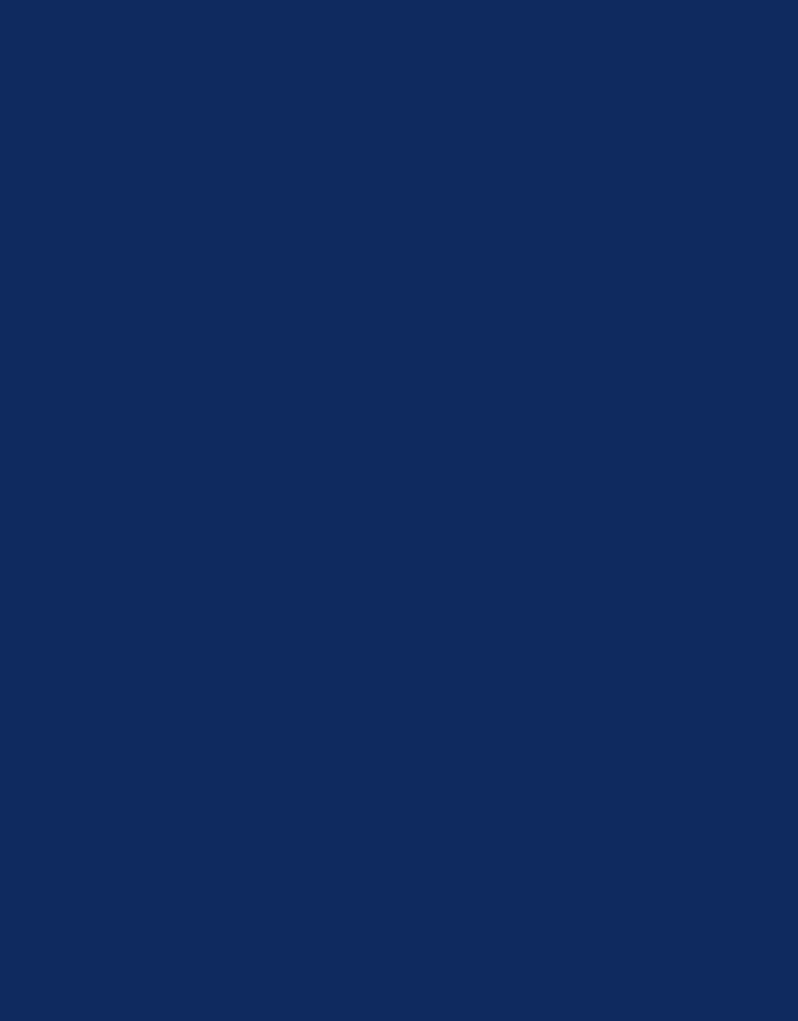 NAVY NEON