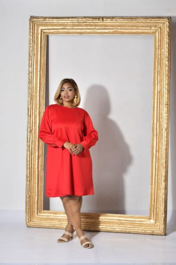 Ladies Exclusive Long Sleeve Dress
