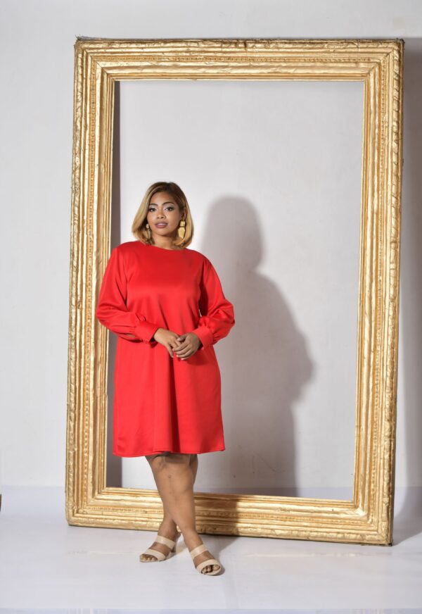 Ladies Exclusive Long Sleeve Dress