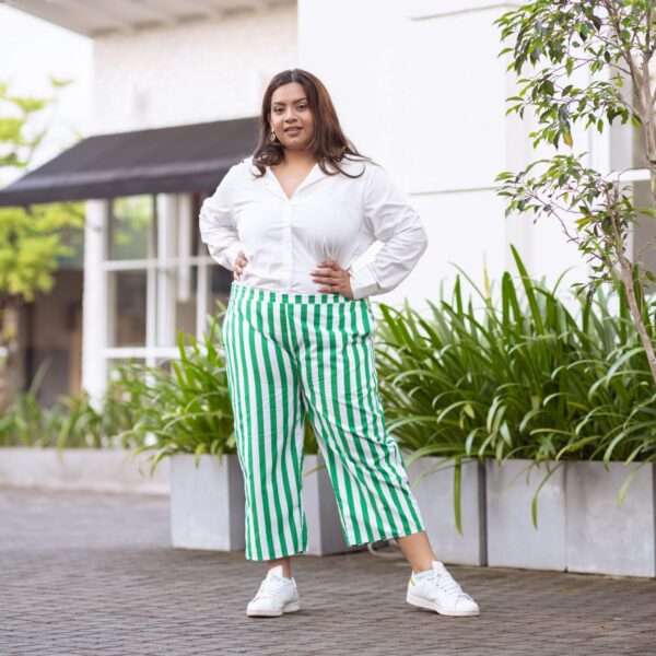 Ladies Exclusive Pant