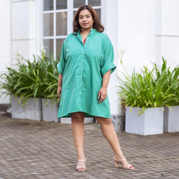 Ladies Exclusive Dress