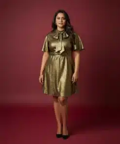 Ladies Exclusive Dress