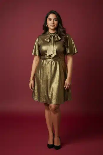 Ladies Exclusive Dress